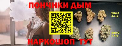 гидропоника Чебоксары